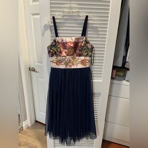 Anthropologie: NWT Moulinette Soeurs Tulle Skirted‎ Dress, Size 2